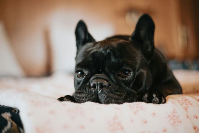 How Moving Can Trigger Anxiety